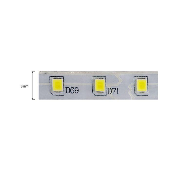 Світлодіодна стрічка REN синя 12V DC IP65 — фото 2 з 2