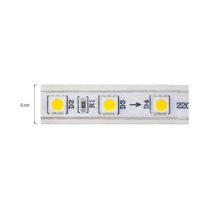 Світлодіодна стрічка AMAZON/RGB 12V DC — фото 2 з 2