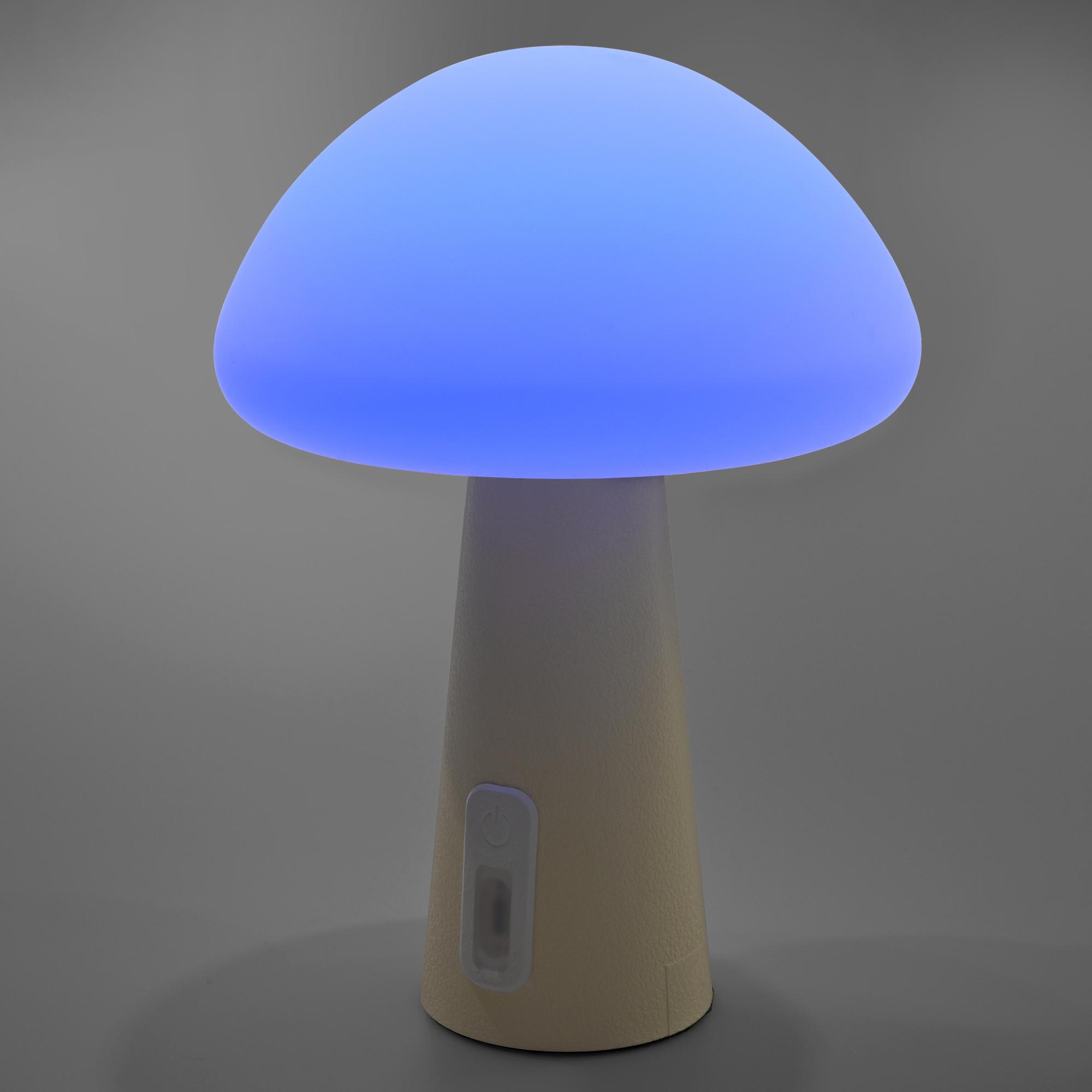 LED лампа настiльна з акумулятором VIDEX VL-TF25BG 4W 3000-6500K+RGB Beige — фото 21 з 25