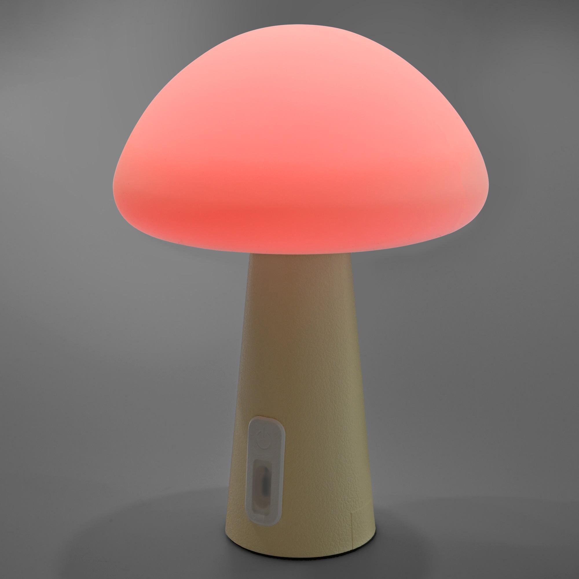 LED лампа настiльна з акумулятором VIDEX VL-TF25BG 4W 3000-6500K+RGB Beige — фото 15 з 25