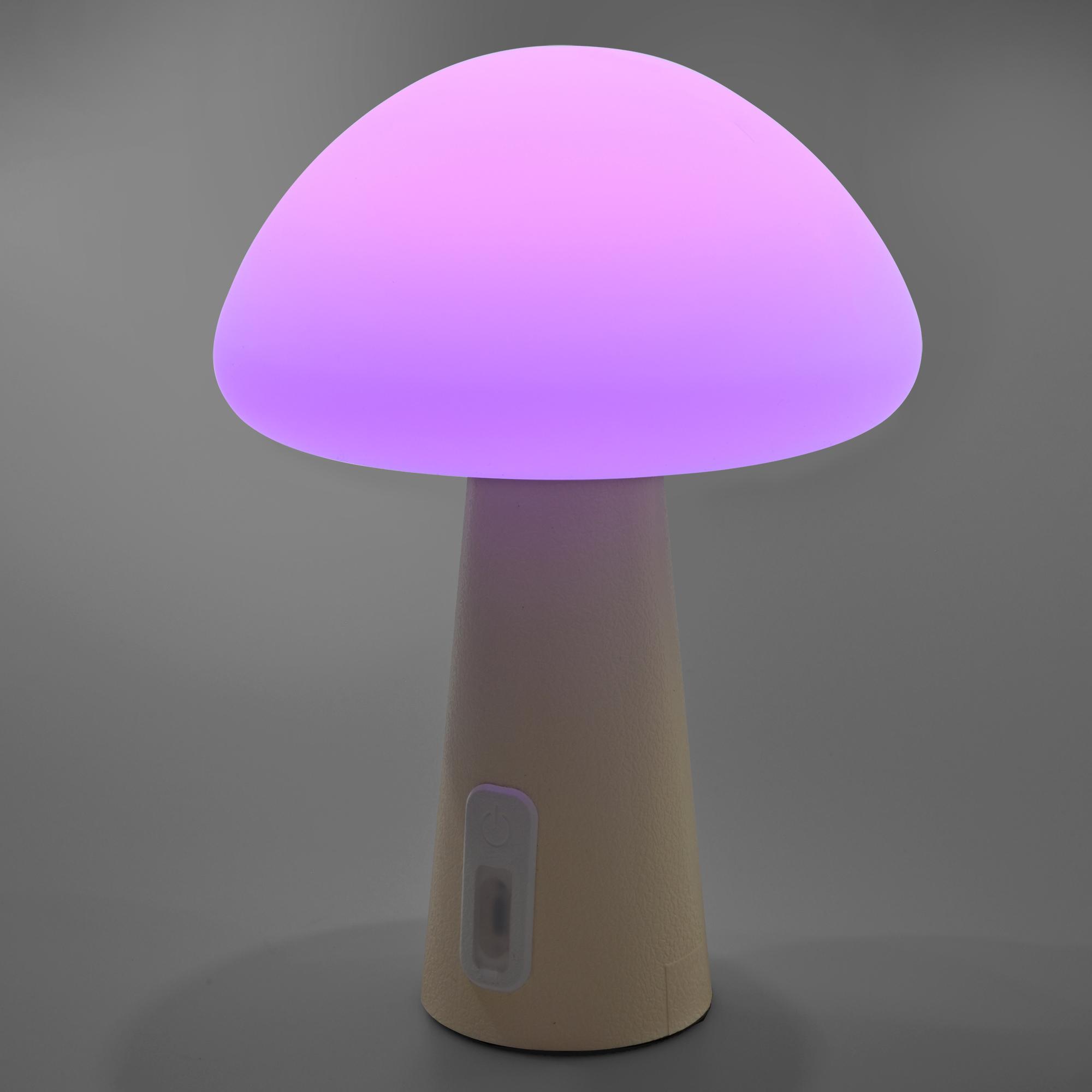 LED лампа настiльна з акумулятором VIDEX VL-TF25BG 4W 3000-6500K+RGB Beige — фото 22 з 25