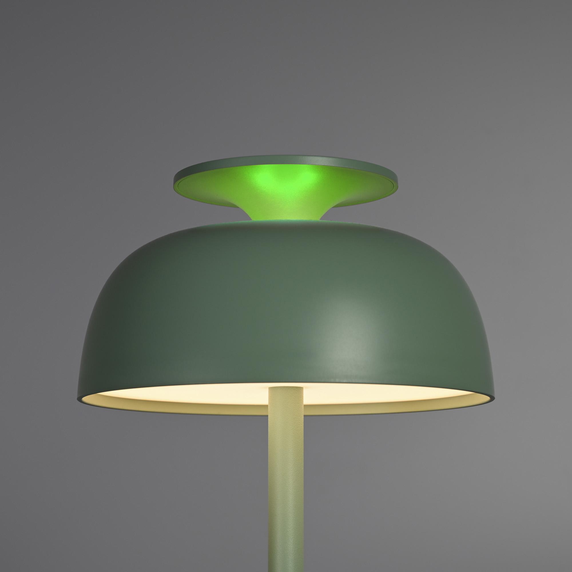 LED лампа настiльна з акумулятором VIDEX VL-TF24G 8W 4000K+RGB Green — фото 3 з 13
