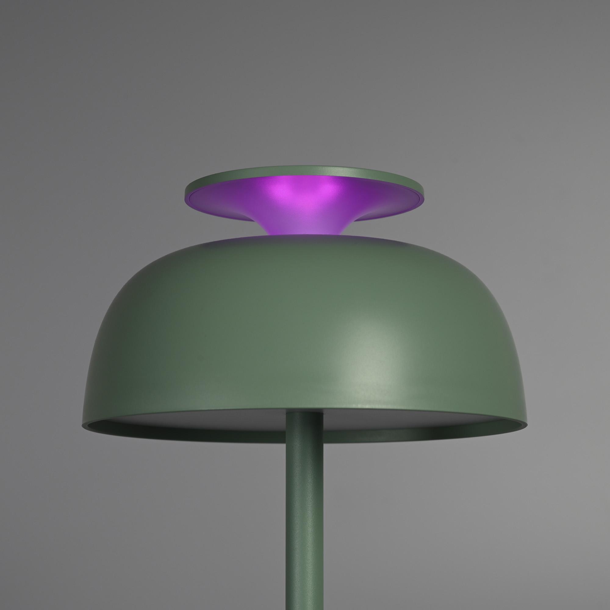 LED лампа настiльна з акумулятором VIDEX VL-TF24G 8W 4000K+RGB Green — фото 6 з 13